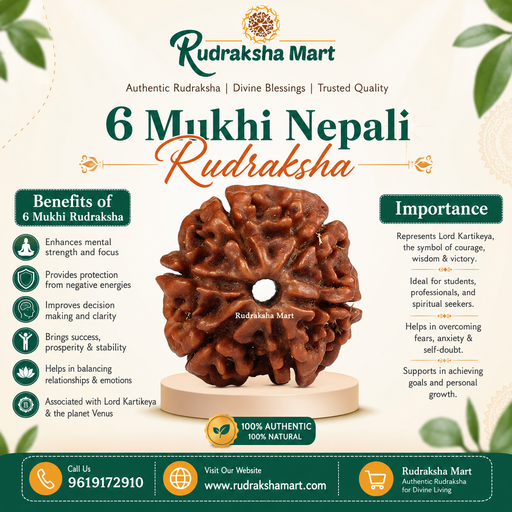 6 Mukhi Nepali Rudraksha in India, US, UK, Australia, Europe