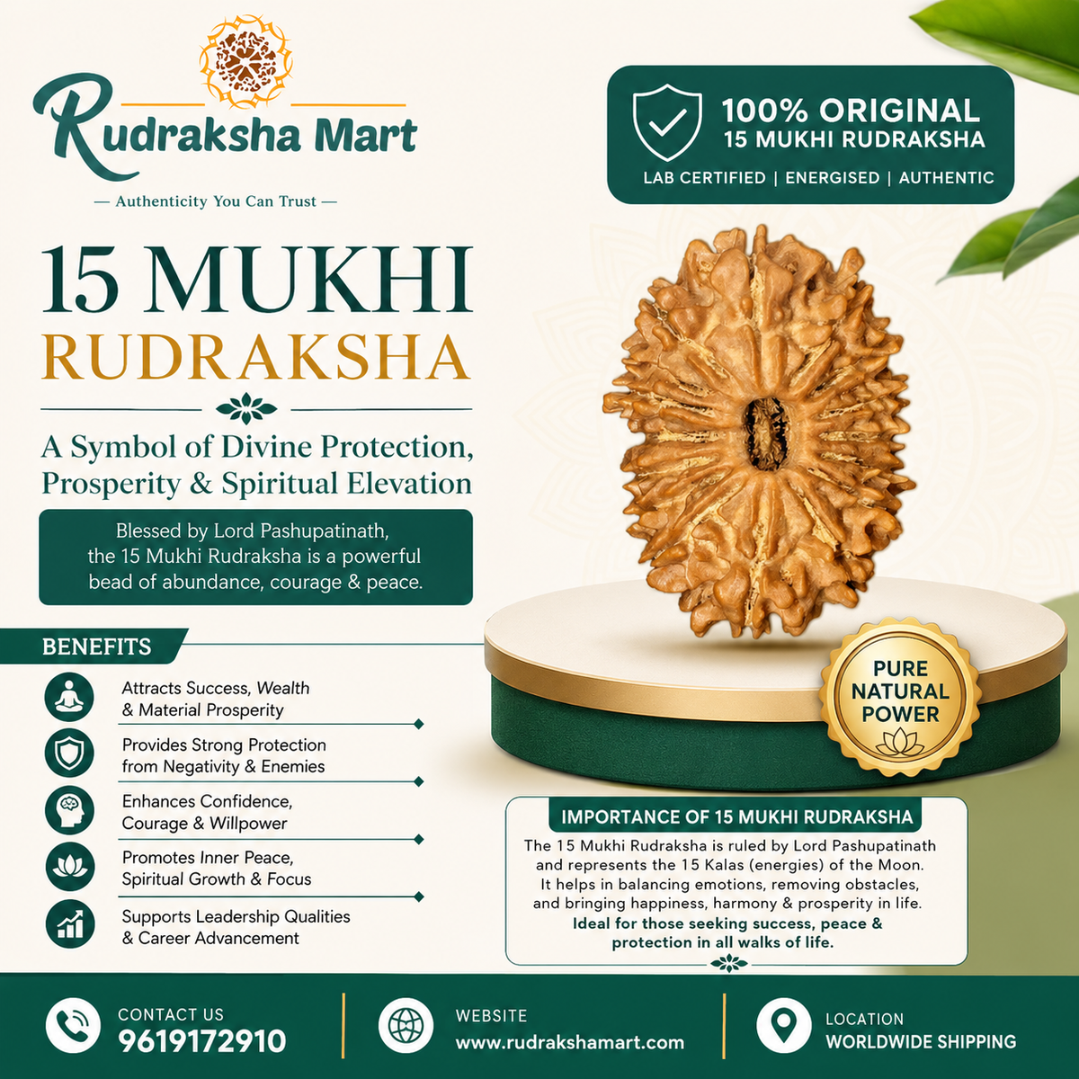 15 Mukhi Nepali Rudraksha Bead With Lab Certified in India, US, UK, Australia, Europe