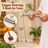 Copper Dowsing L Rods for Vastu, Reiki, Dowser Master – Divining Rods in India, US, UK, Australia, Europe