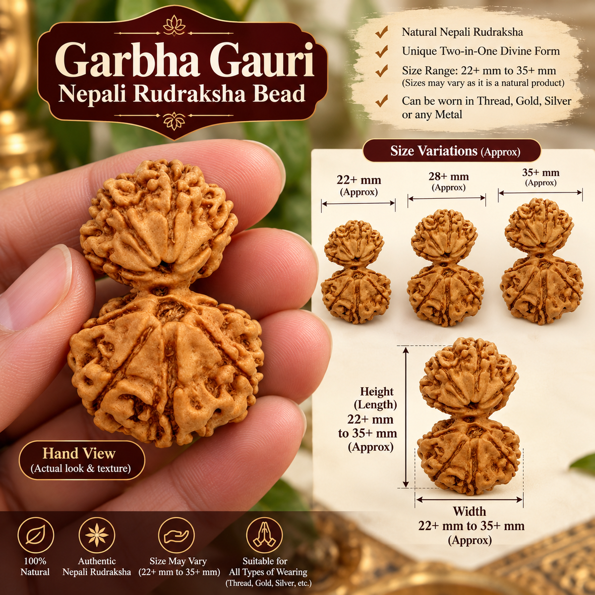 Garbh Gauri Nepali Rudraksha in India, US, UK, Australia, Europe