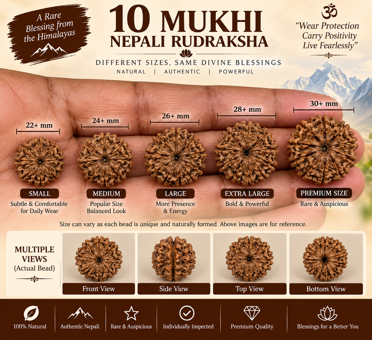 10 Mukhi Nepali Rudraksha in India, US, UK, Australia, Europe