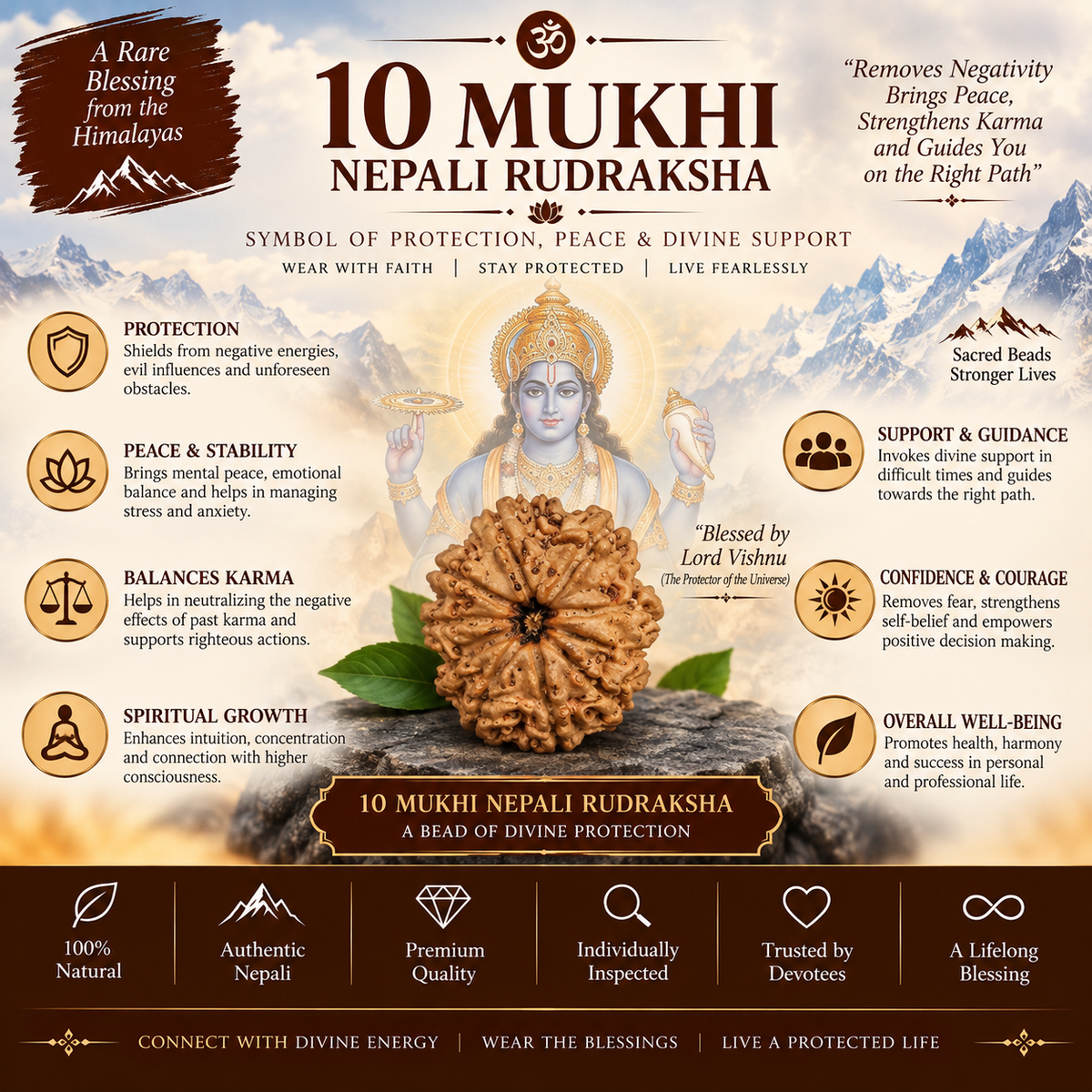 10 Mukhi Nepali Rudraksha in India, US, UK, Australia, Europe