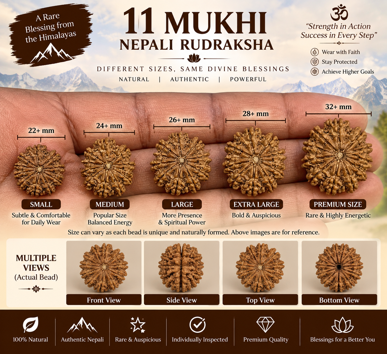 11 Mukhi Nepali Rudraksha in India, US, UK, Australia, Europe