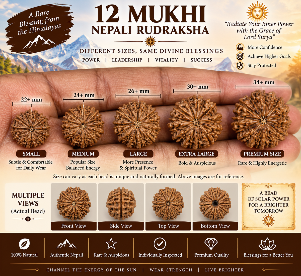 12 Mukhi Nepali Rudraksha in India, US, UK, Australia, Europe