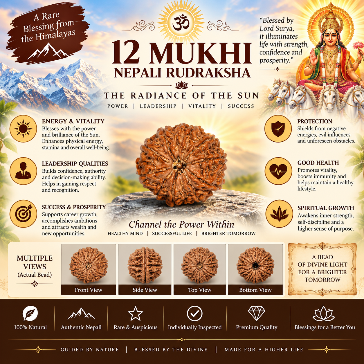 12 Mukhi Nepali Rudraksha in India, US, UK, Australia, Europe