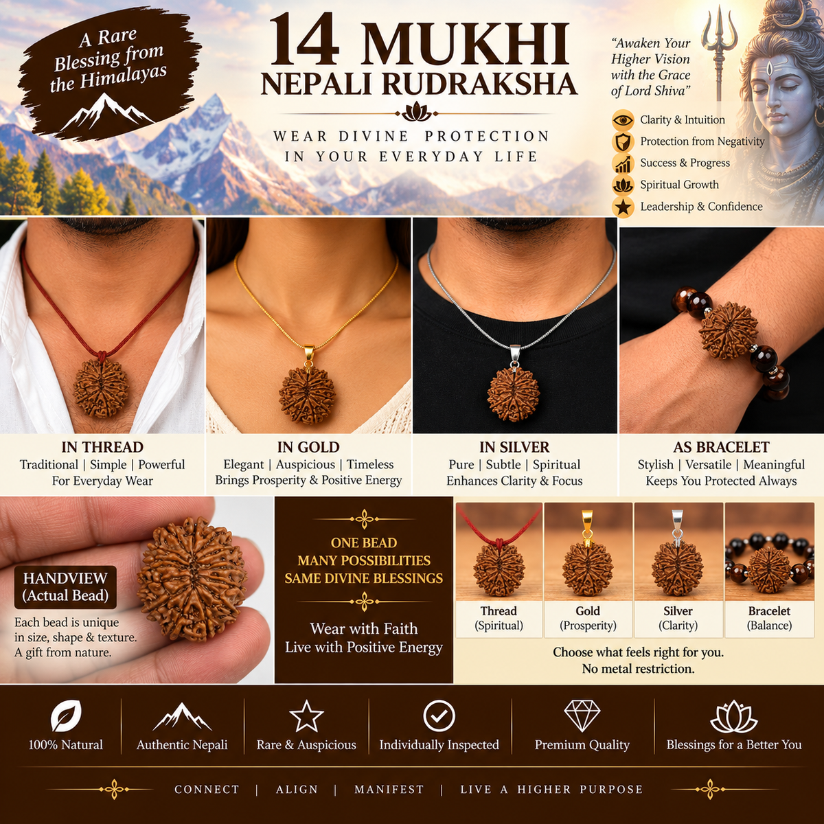 14 Mukhi Nepali Rudraksha in India, US, UK, Australia, Europe