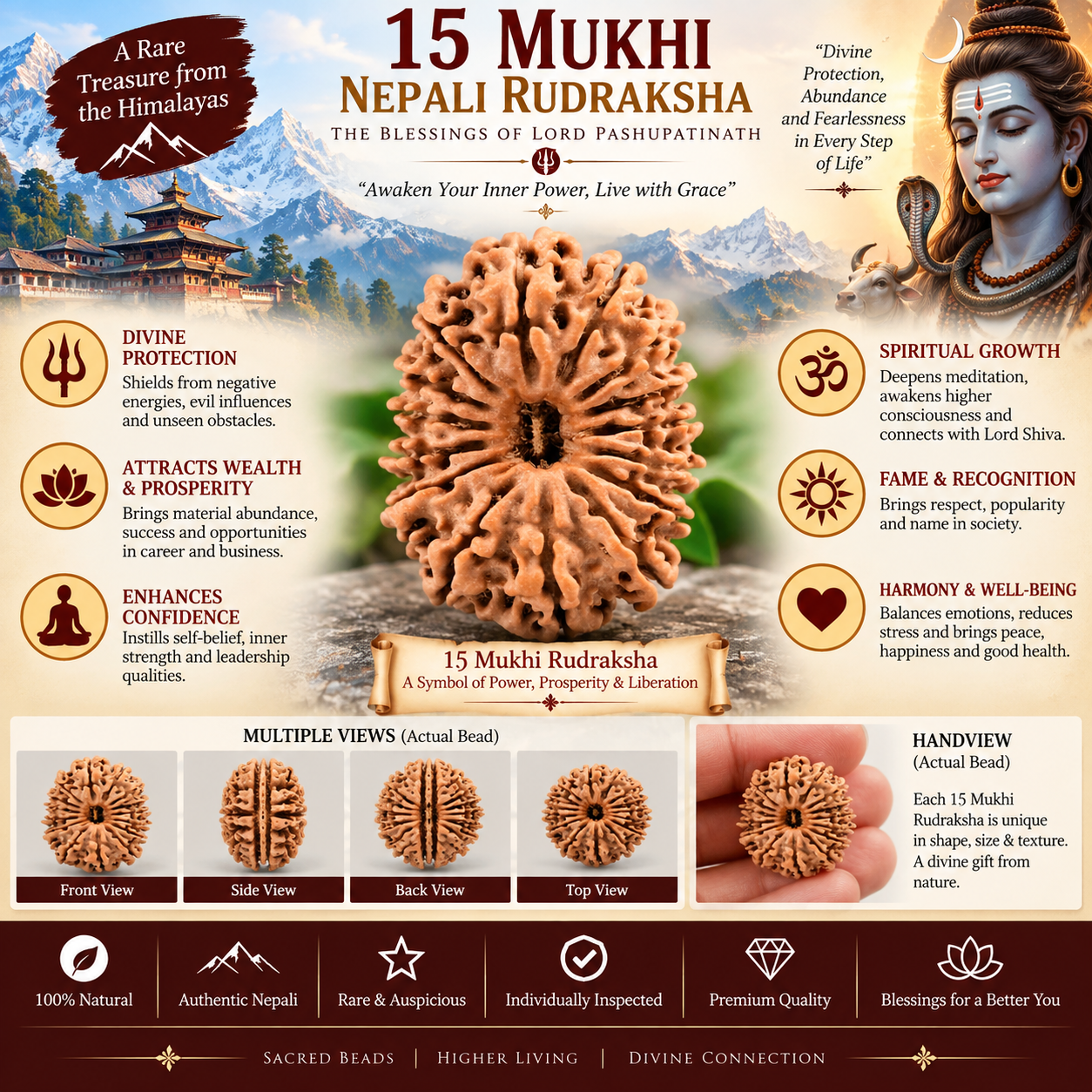 15 Mukhi Nepali Rudraksha Bead With Lab Certified in India, US, UK, Australia, Europe