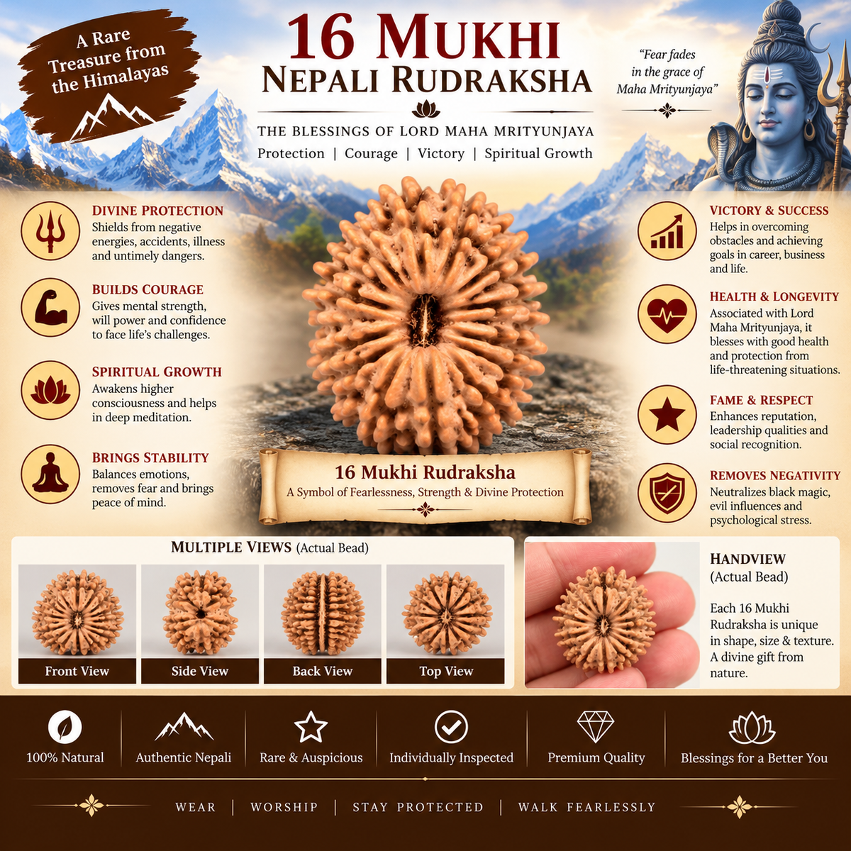 16 Mukhi Nepali Rudraksha With Lab Certified in India, US, UK, Australia, Europe