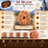 16 Mukhi Nepali Rudraksha With Lab Certified in India, US, UK, Australia, Europe