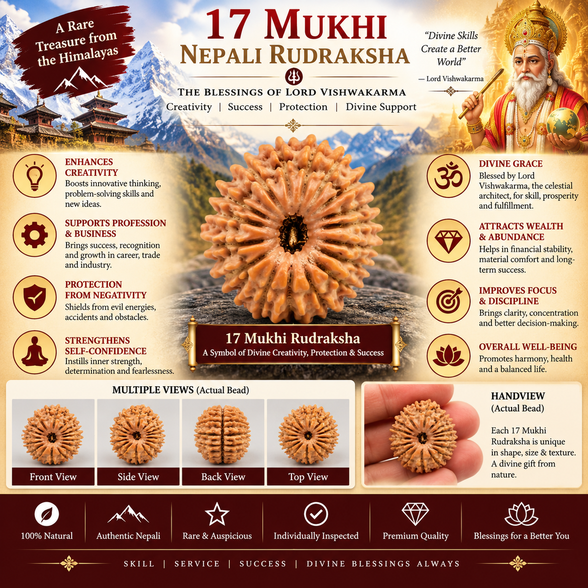 17 Mukhi Nepali Rudraksha With Lab Certified in India, US, UK, Australia, Europe