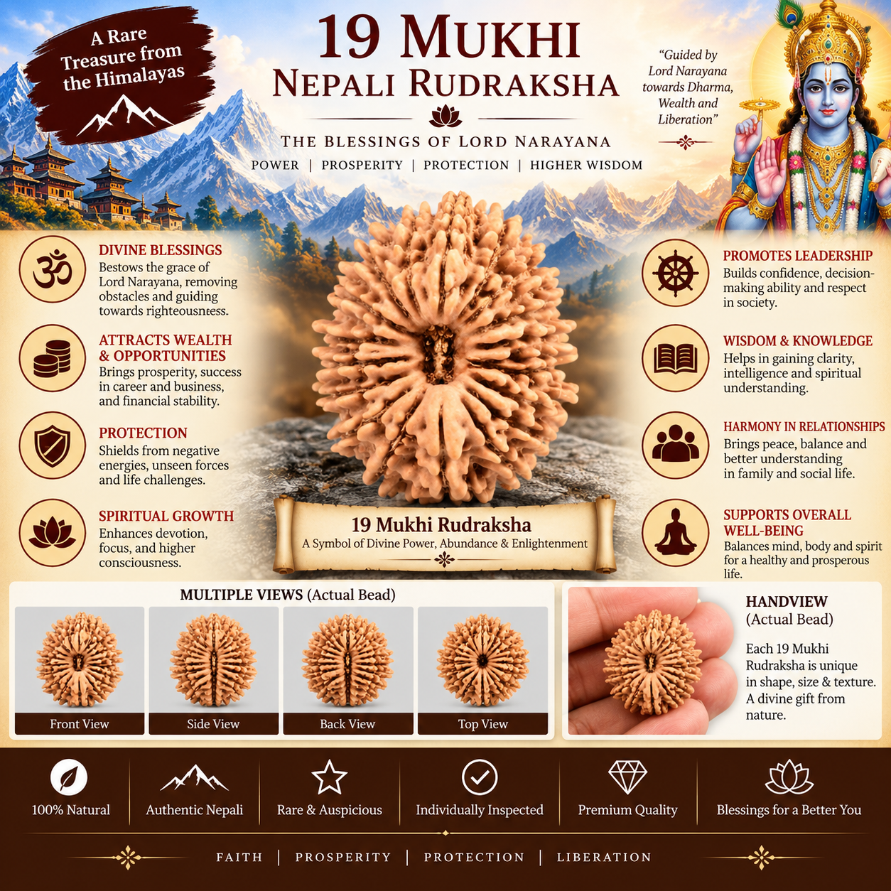 19 Mukhi Nepali Rudraksha With Lab Certified in India, US, UK, Australia, Europe