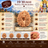 19 Mukhi Nepali Rudraksha With Lab Certified in India, US, UK, Australia, Europe