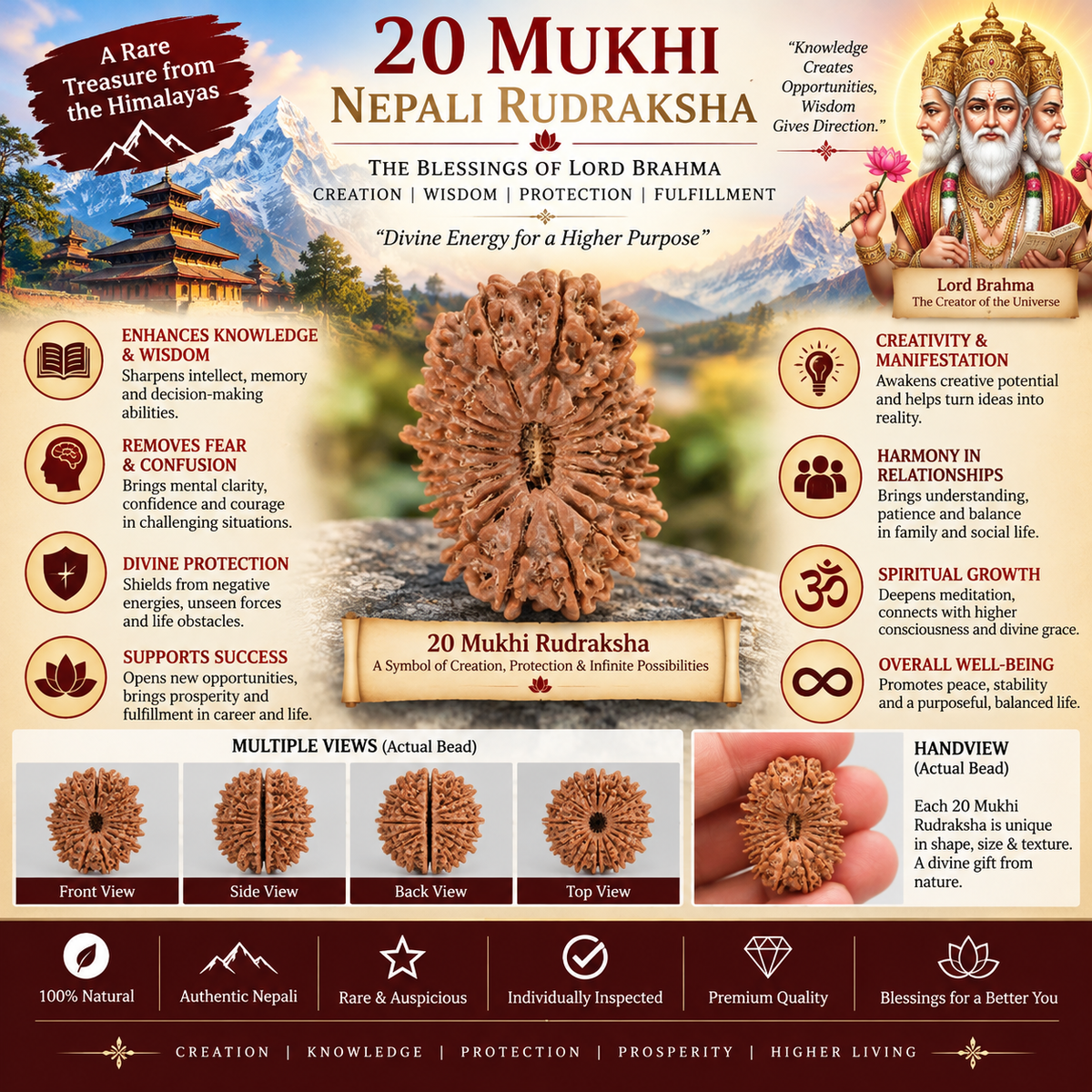 20 Mukhi Nepali Rudraksha With Lab Certified in India, US, UK, Australia, Europe
