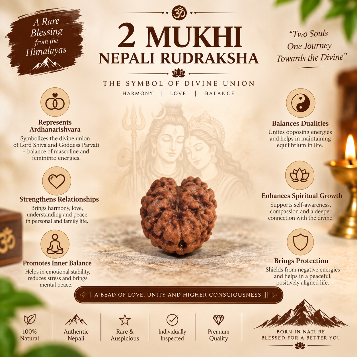 2 Mukhi Nepali Rudraksha with Lab Certified in India, US, UK, Australia, Europe