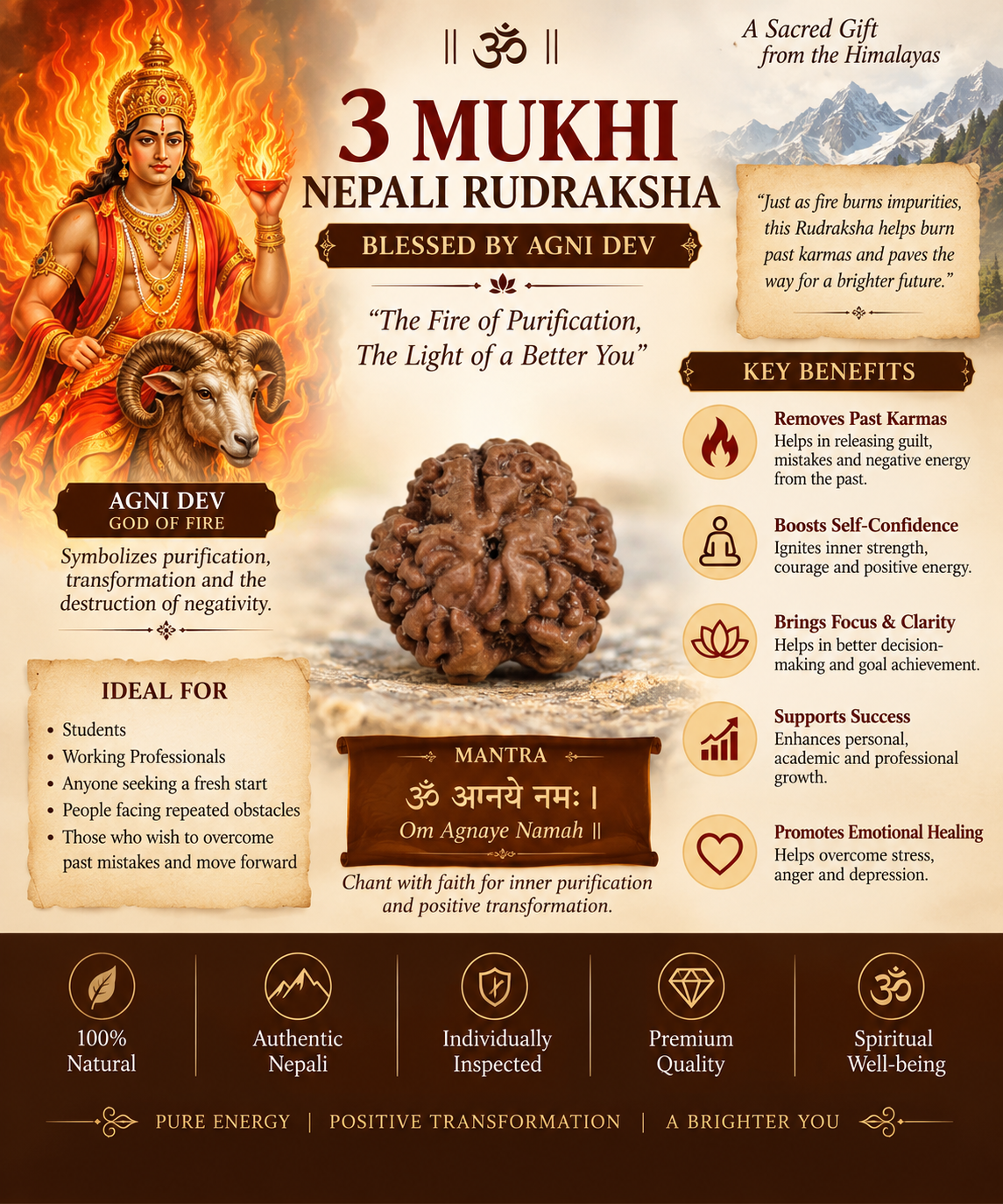 3 Mukhi Nepali Rudraksha in India, US, UK, Australia, Europe