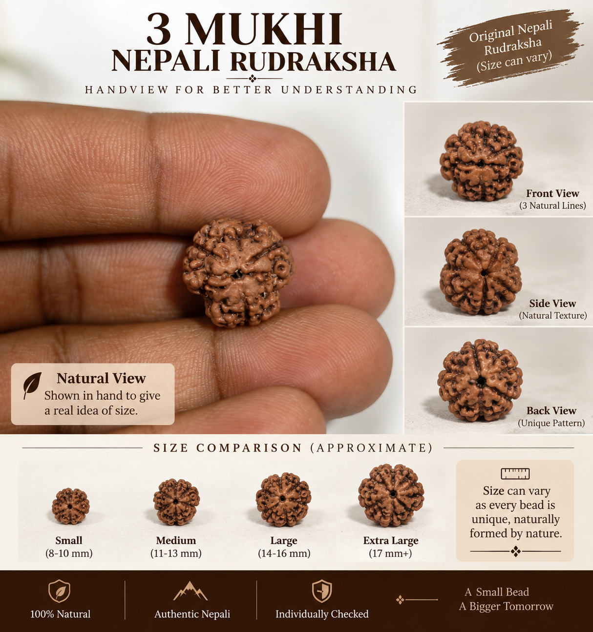 3 Mukhi Nepali Rudraksha in India, US, UK, Australia, Europe