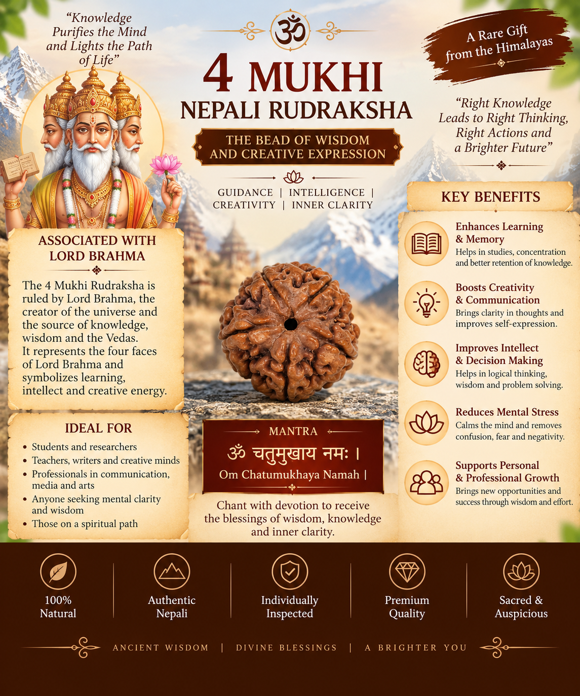 4 Mukhi Nepali Rudraksha in India, US, UK, Australia, Europe