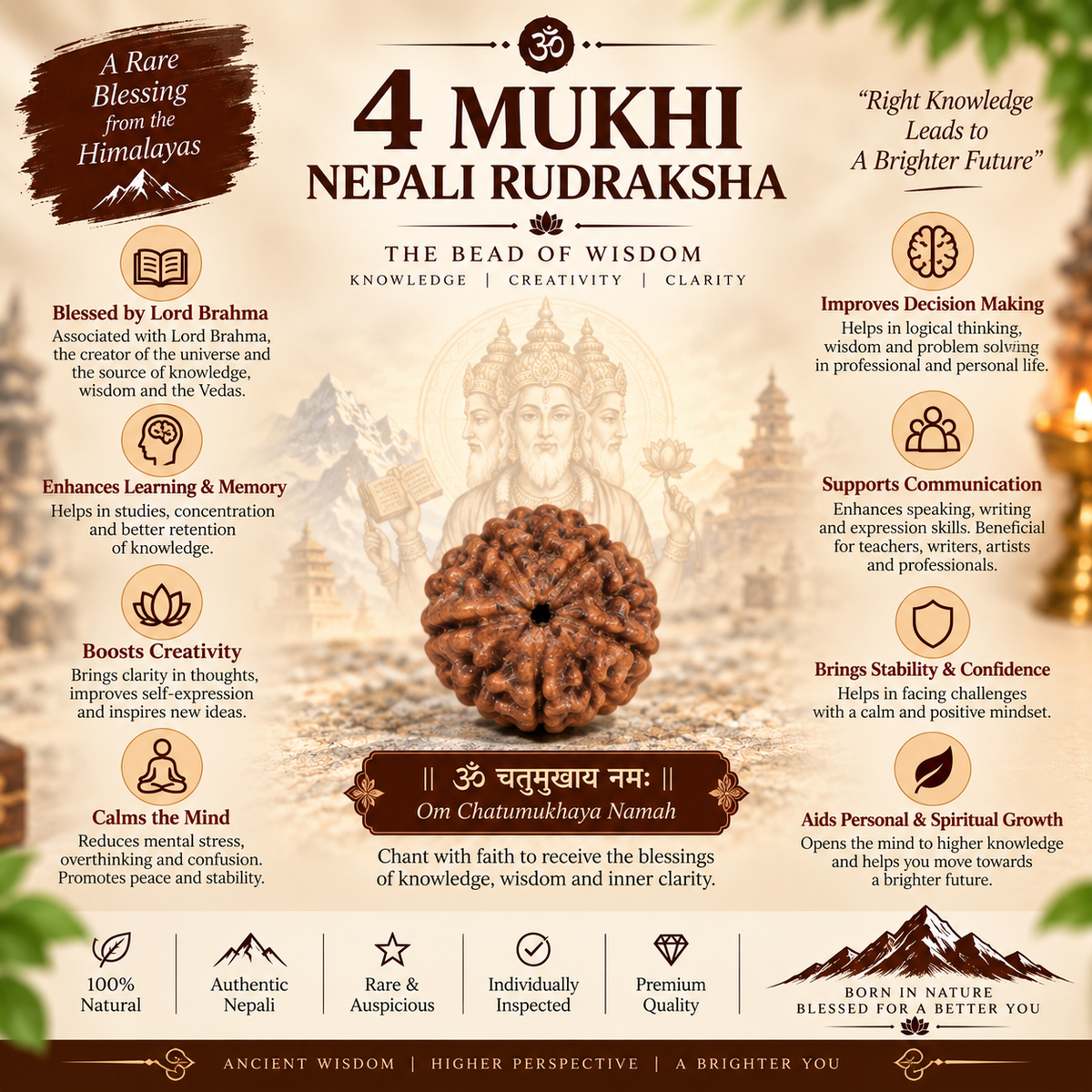 4 Mukhi Nepali Rudraksha in India, US, UK, Australia, Europe