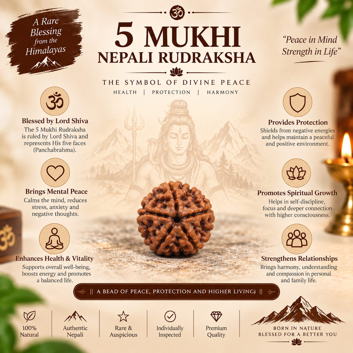 5 Mukhi Nepali Rudraksha in India, US, UK, Australia, Europe