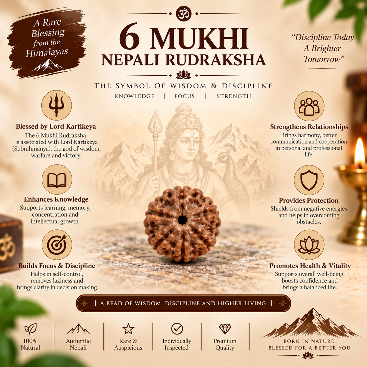6 Mukhi Nepali Rudraksha in India, US, UK, Australia, Europe