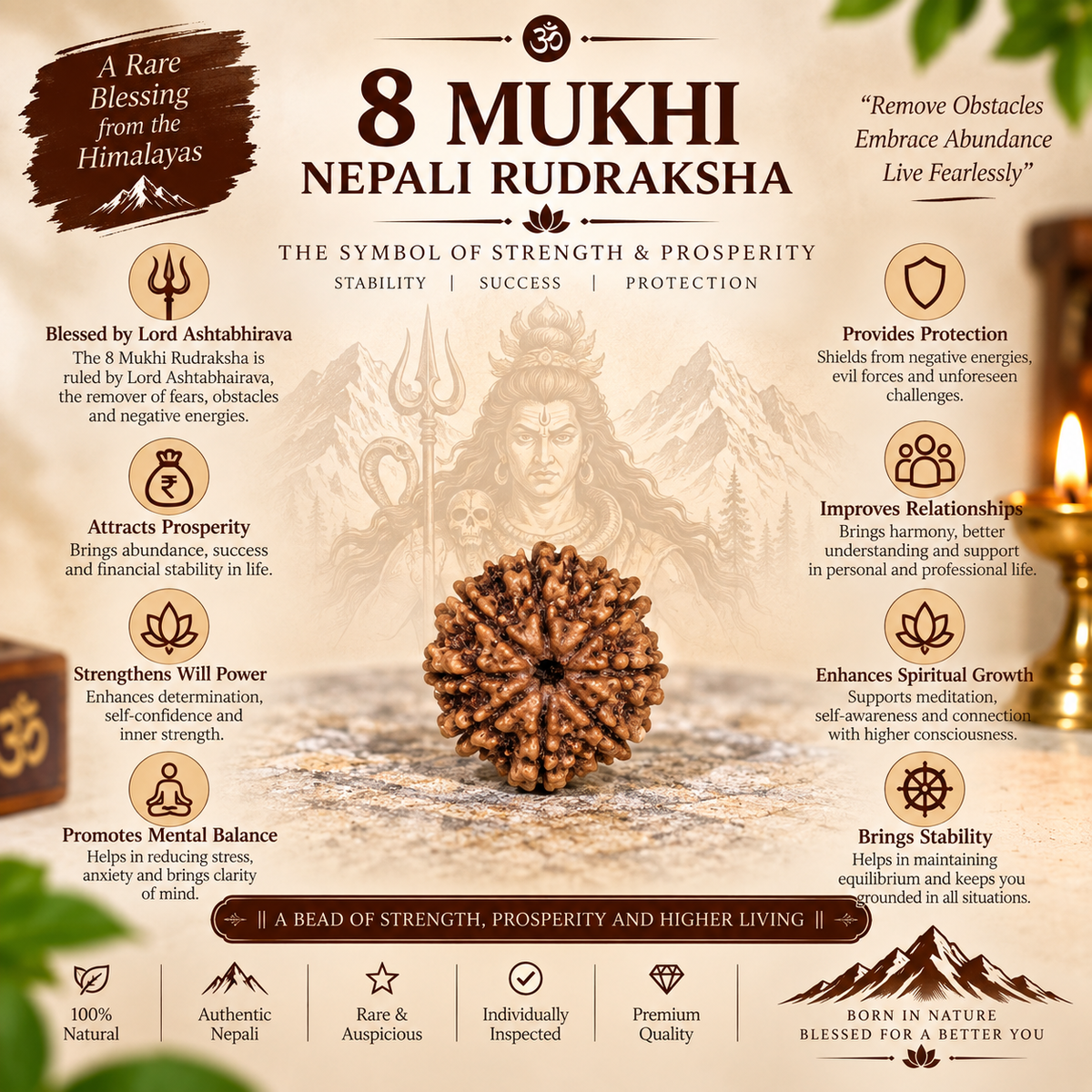8 Mukhi Nepali Rudraksha in India, US, UK, Australia, Europe
