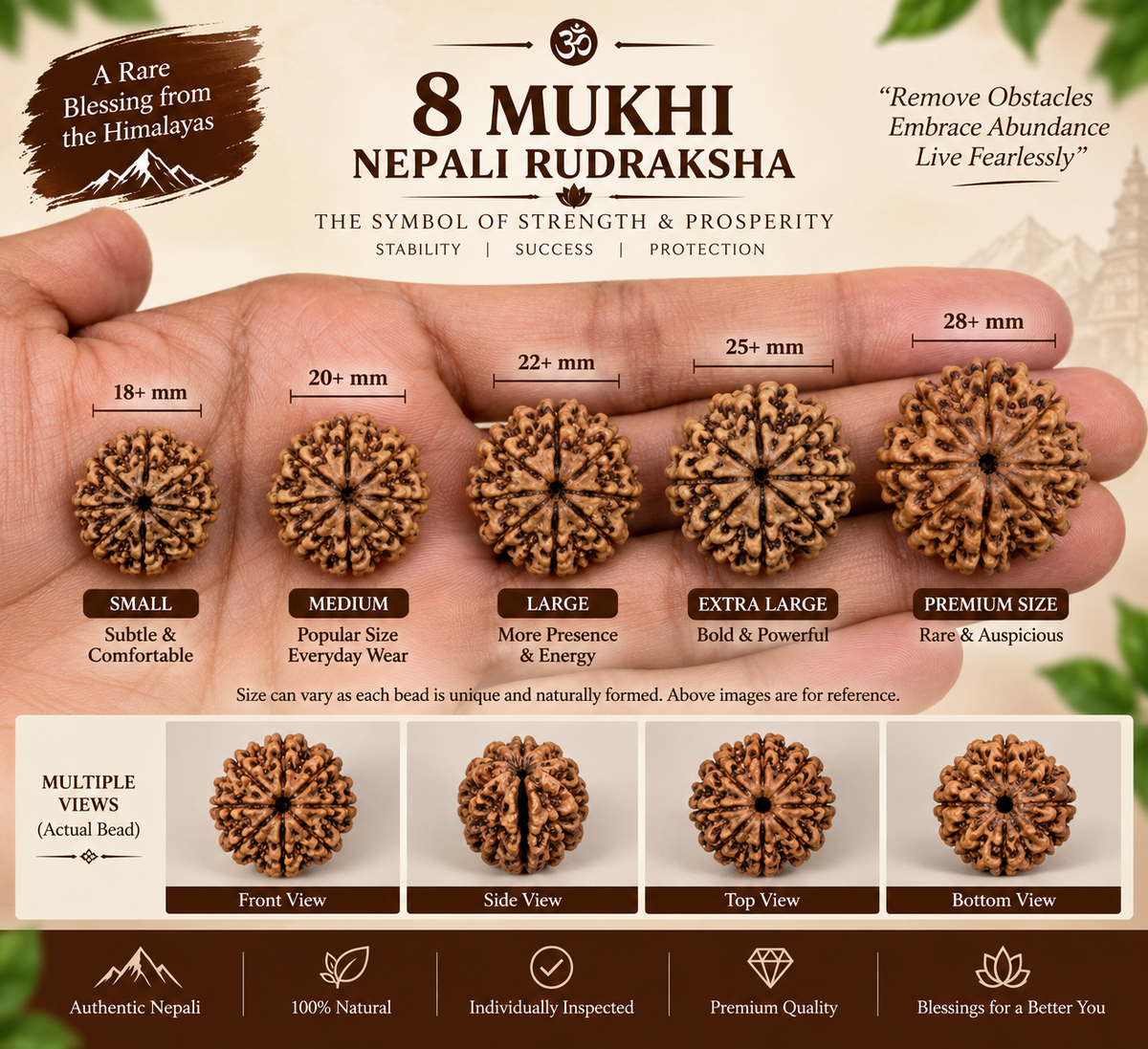 8 Mukhi Nepali Rudraksha in India, US, UK, Australia, Europe