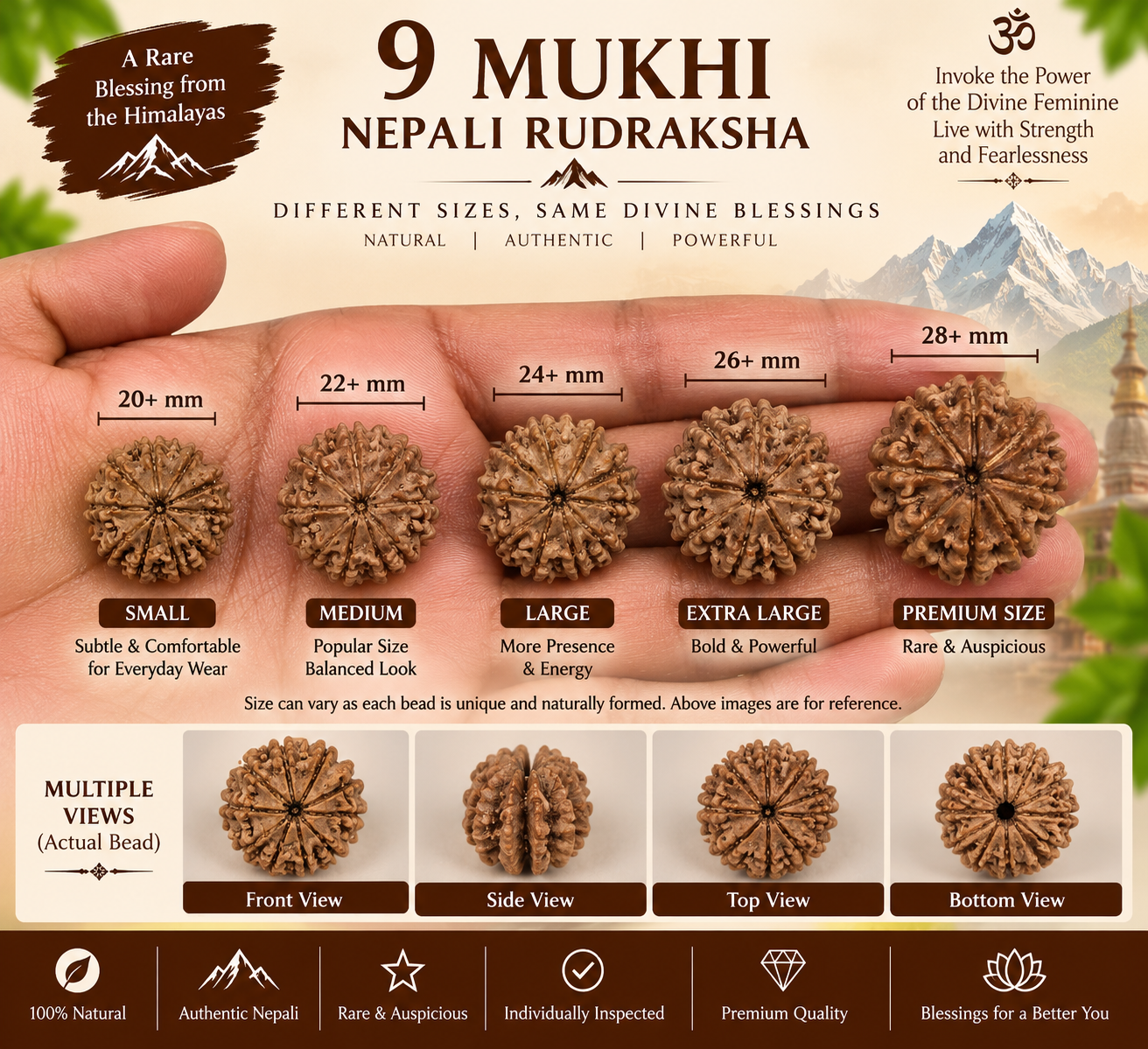 9 Mukhi Nepali Rudraksha in India, US, UK, Australia, Europe