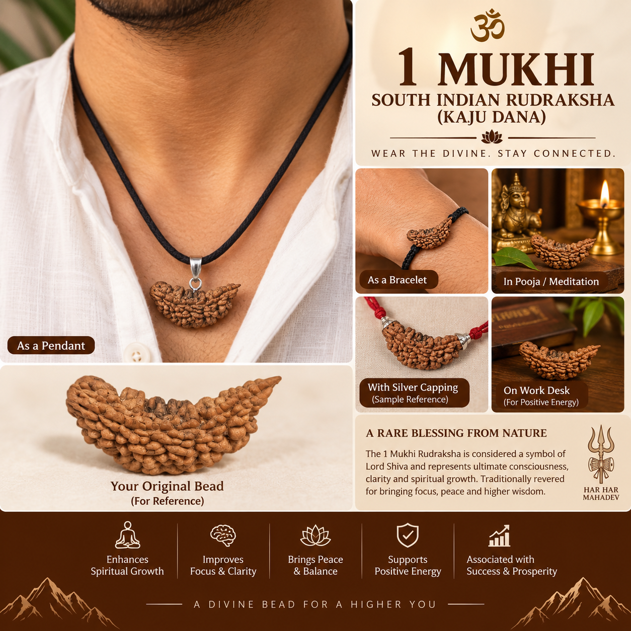 1 Mukhi Kaju Dana Indian Shape Rudraksha in India, US, UK, Australia, Europe