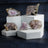 Amethyst Clusters: Healing Properties, Benefits, and Uses in India, US, UK, Australia, Europe