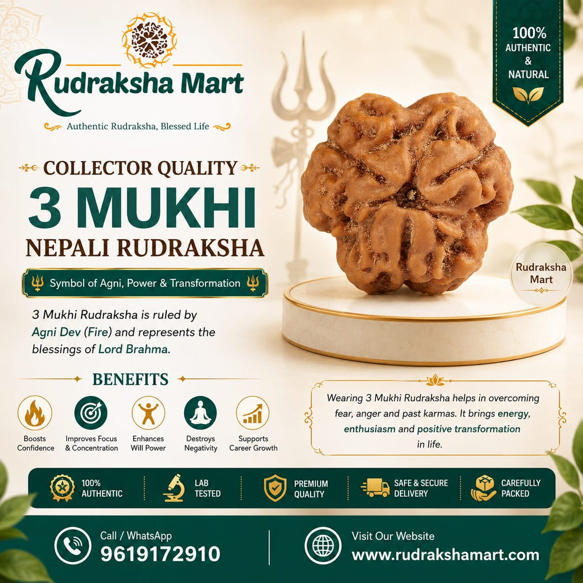 3 Mukhi Nepali Collector Rudraksha Bead in India, US, UK, Australia, Europe