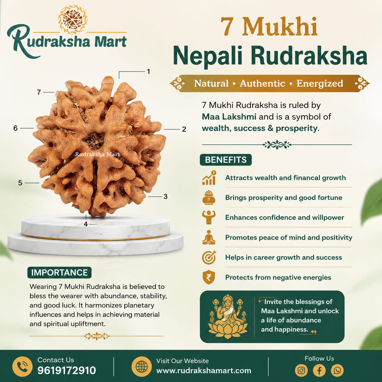 7 Mukhi Nepali Rudraksha in India, US, UK, Australia, Europe
