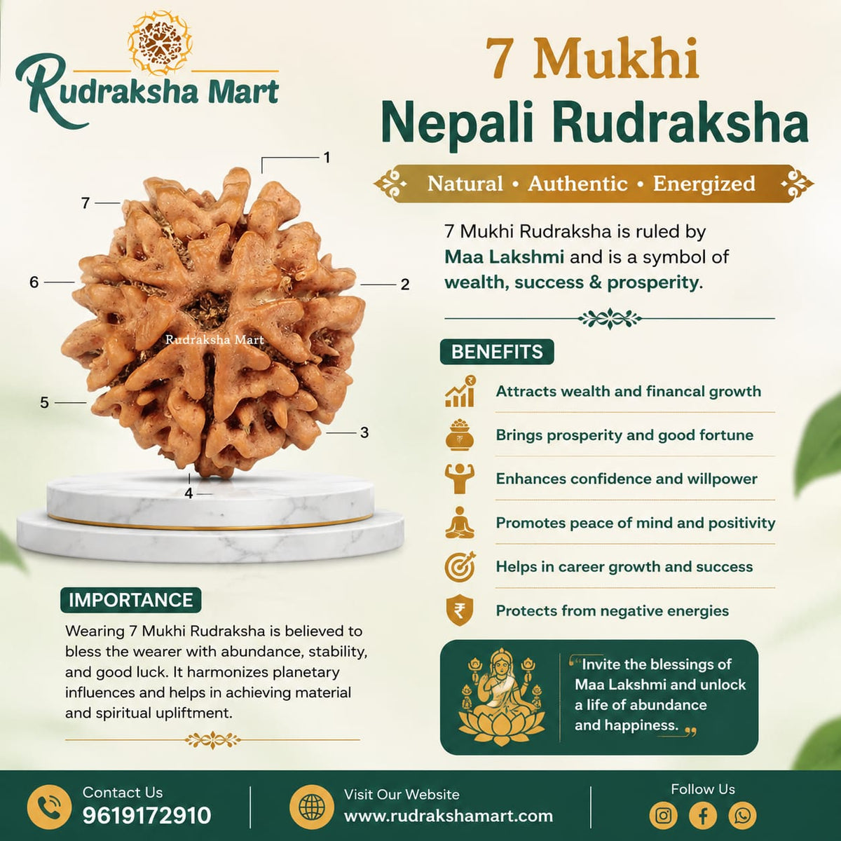 7 Mukhi Nepali Rudraksha in India, US, UK, Australia, Europe