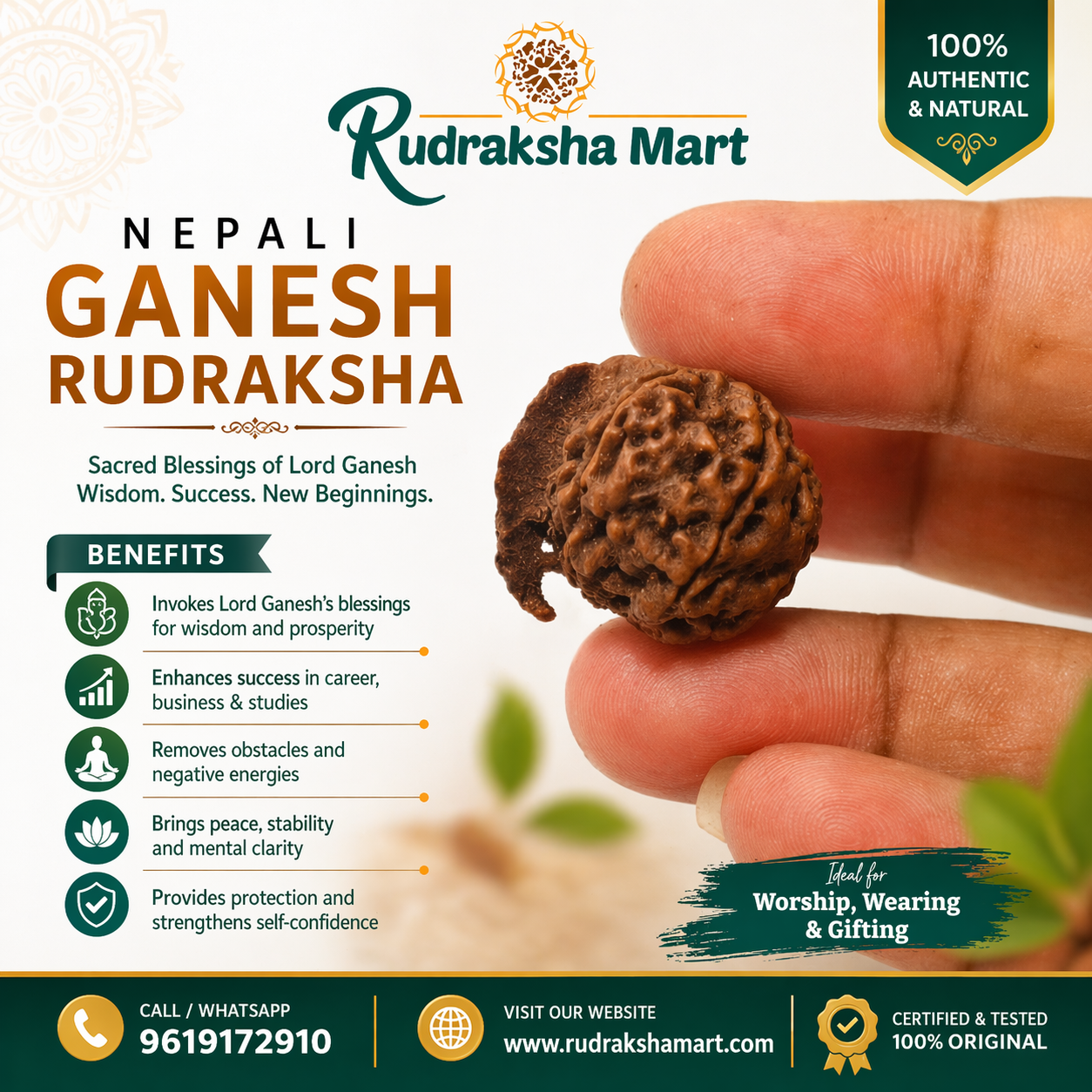 Ganesh Mukhi Nepali Rudraksha in India, US, UK, Australia, Europe
