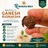 Ganesh Mukhi Nepali Rudraksha in India, US, UK, Australia, Europe