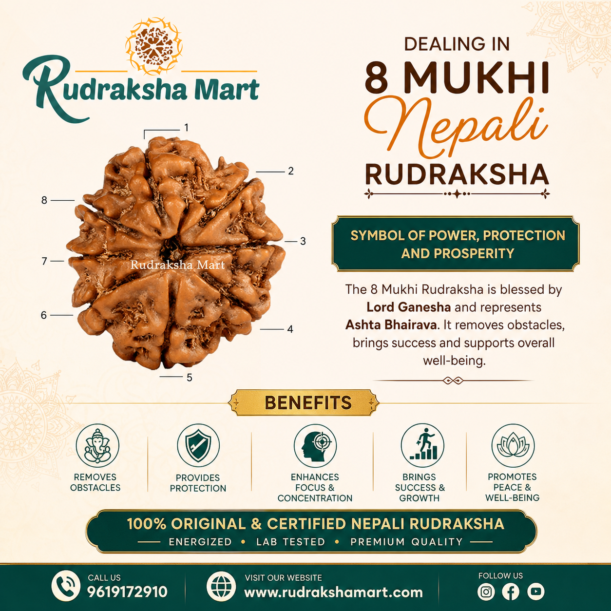 8 Mukhi Nepali Rudraksha in India, US, UK, Australia, Europe