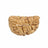 1 Mukhi Kaju Dana Indian Shape Rudraksha in India, US, UK, Australia, Europe