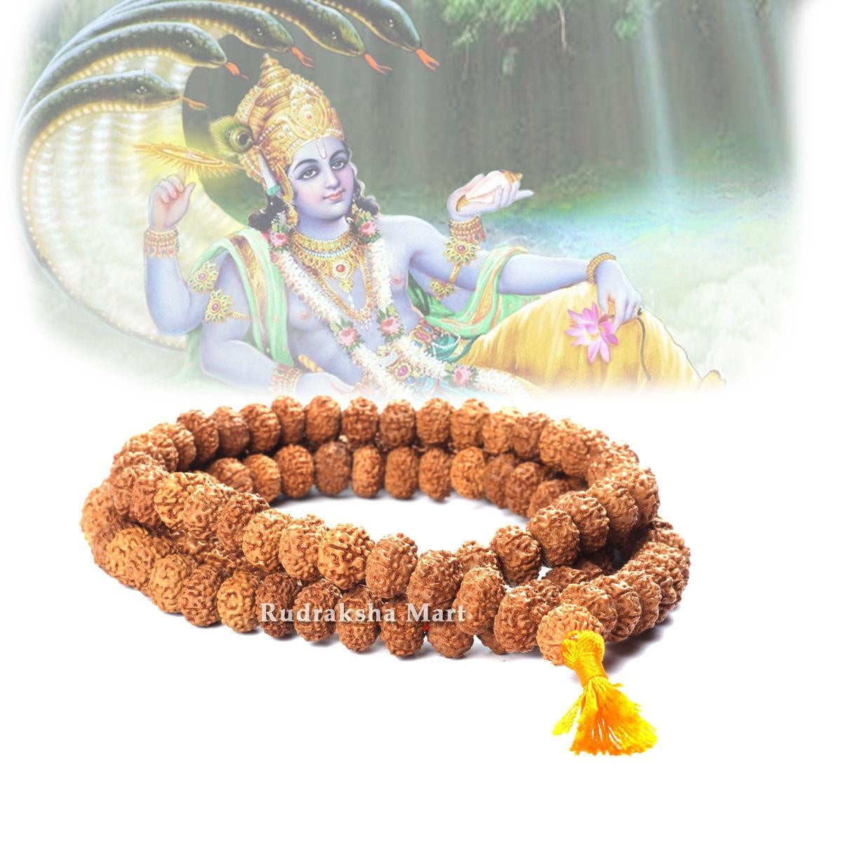 Buy Online 10 Mukhi 108 Bead Java Rudraksha Mala for Men and Women