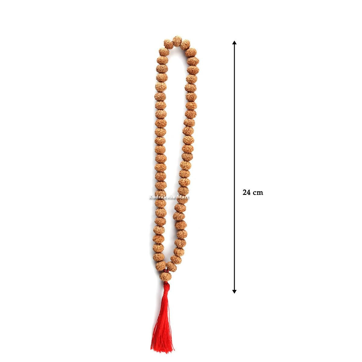 10 Mukhi Rudraksha Mala - 54 Bead in India, US, UK, Australia, Europe