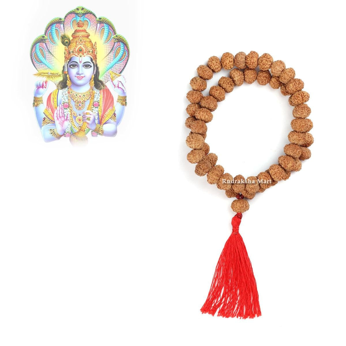 10 Mukhi Rudraksha Mala - 54 Bead in India, US, UK, Australia, Europe