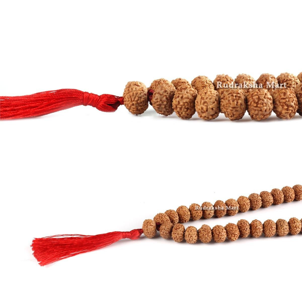 10 Mukhi Rudraksha Mala - 54 Bead in India, US, UK, Australia, Europe