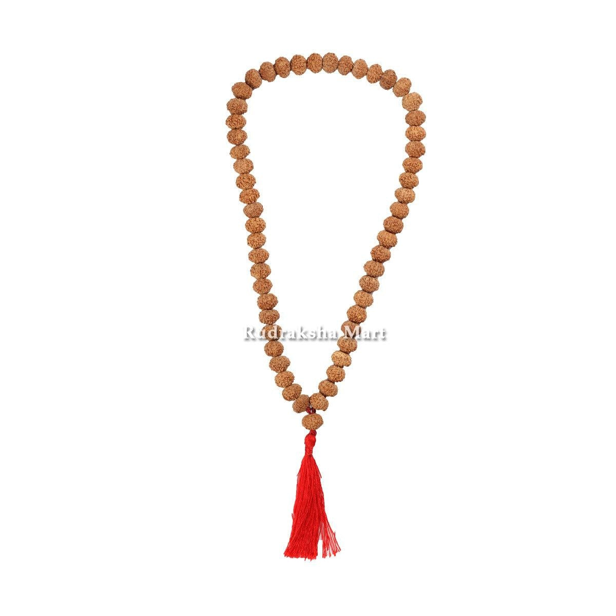 10 Mukhi Rudraksha Mala - 54 Bead in India, US, UK, Australia, Europe