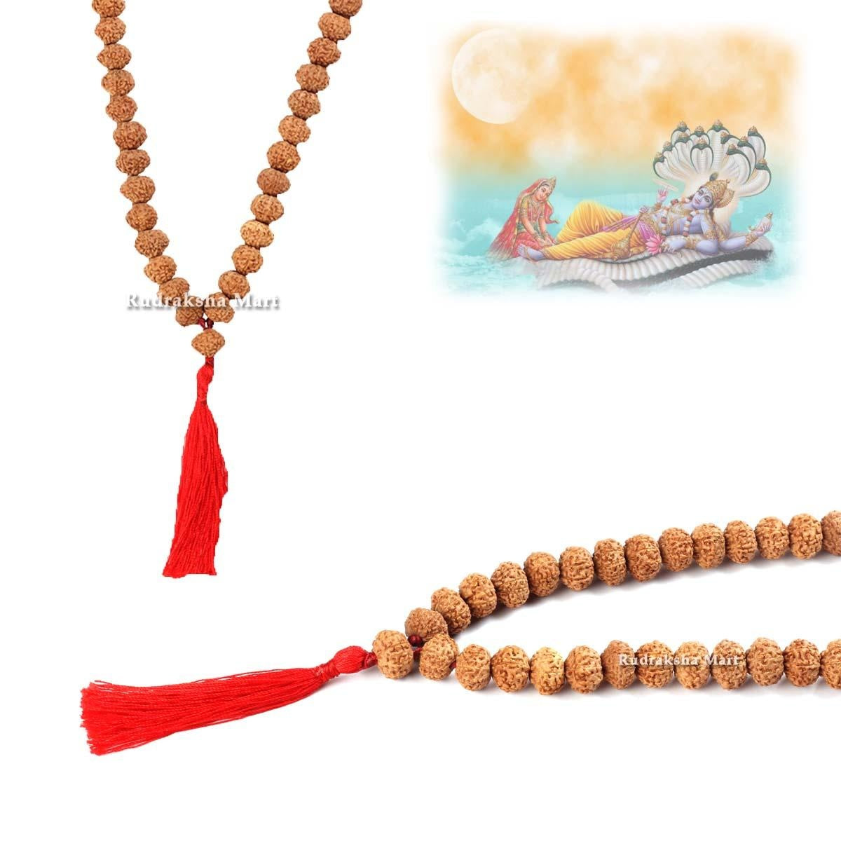 10 Mukhi Rudraksha Mala - 54 Bead in India, US, UK, Australia, Europe