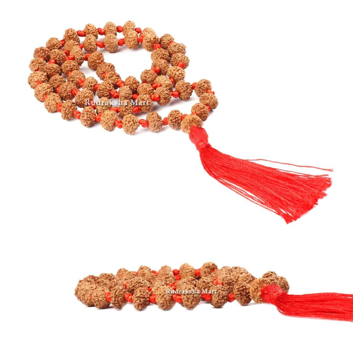 10 Mukhi Rudraksha 54 Bead Ganth Mala in India, US, UK, Australia, Europe