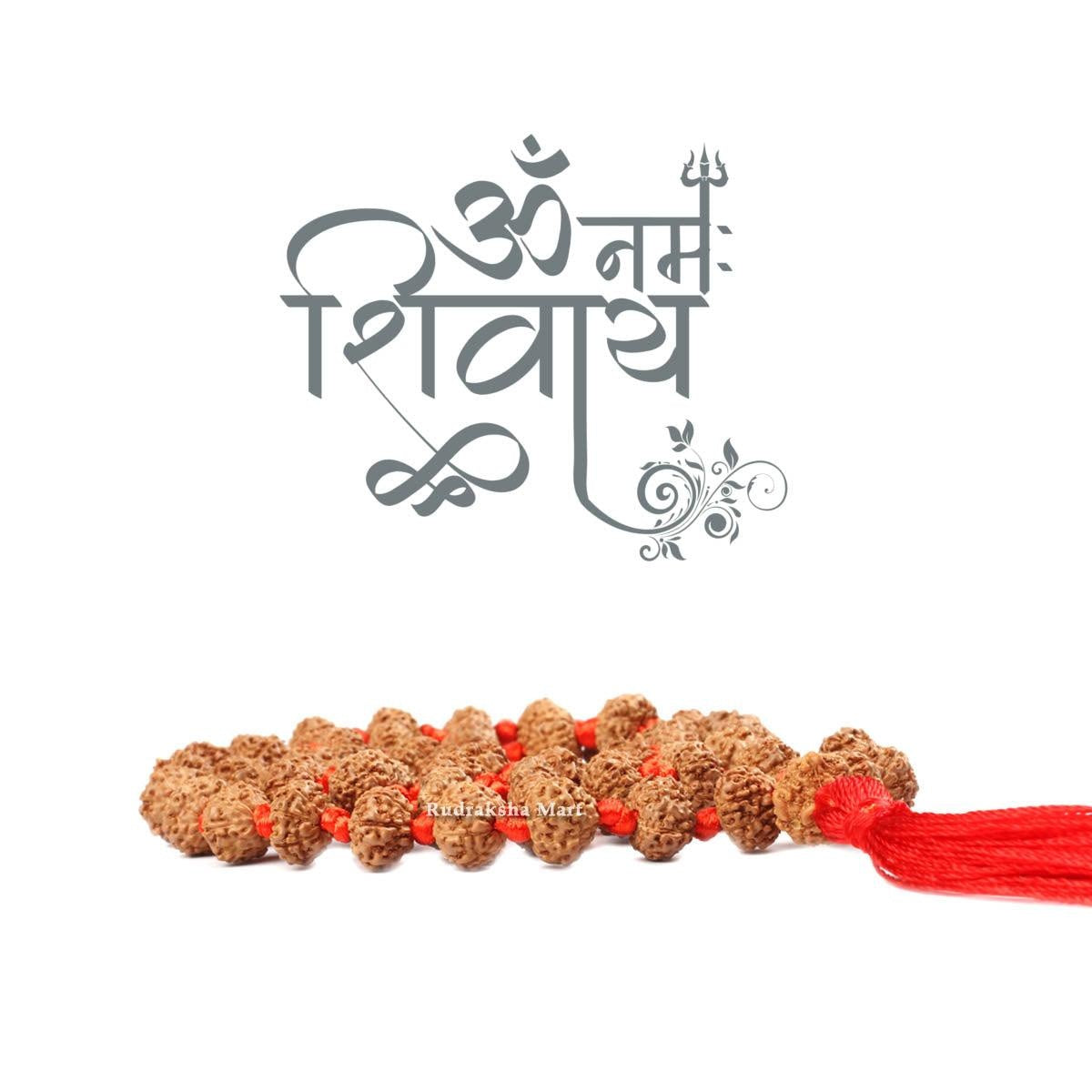 10 Mukhi Rudraksha 54 Bead Ganth Mala in India, US, UK, Australia, Europe
