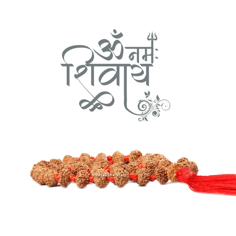 10 Mukhi Rudraksha 54 Bead Ganth Mala in India, US, UK, Australia, Europe