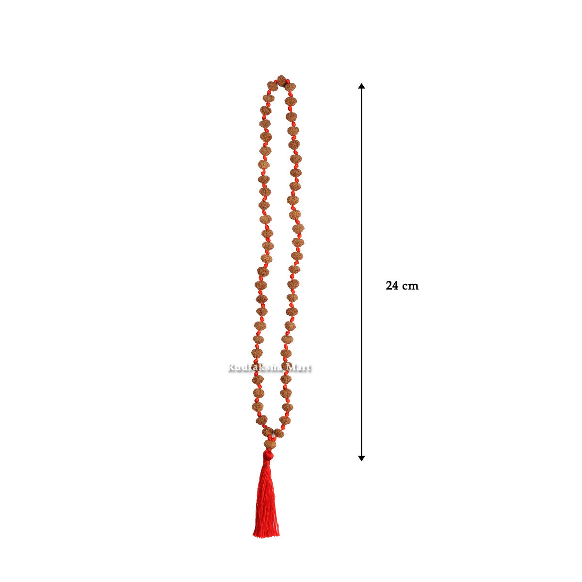 10 Mukhi Rudraksha 54 Bead Ganth Mala in India, US, UK, Australia, Europe