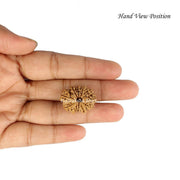 11 Mukhi Nepali Rudraksha in India, US, UK, Australia, Europe