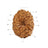 12 Mukhi Java Rudraksha in India, US, UK, Australia, Europe
