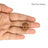 13 Mukhi Java Rudraksha in India, US, UK, Australia, Europe