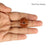 13 Mukhi Nepali Rudraksha in India, US, UK, Australia, Europe